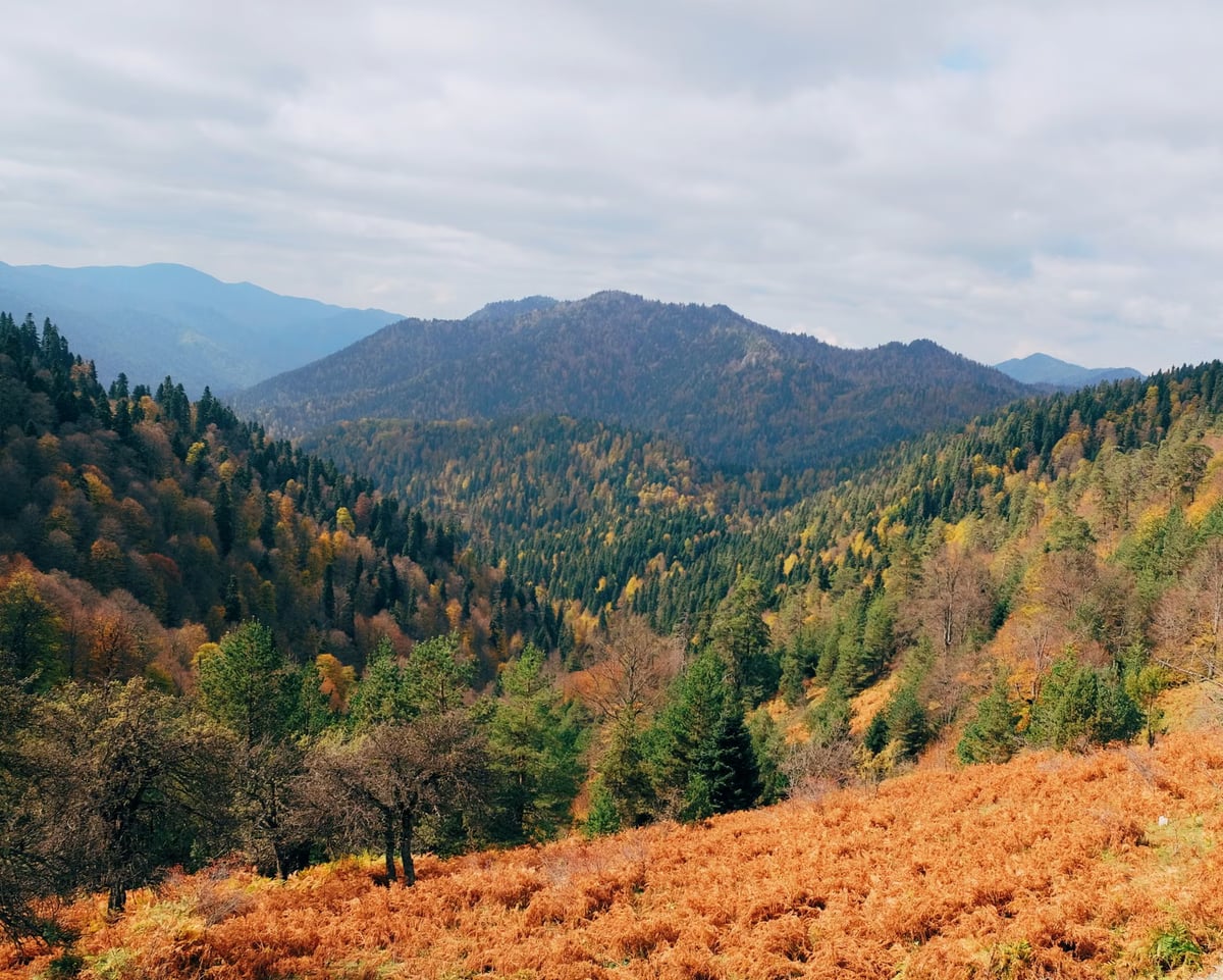 Kaçkar Dağları'ndaki yayla bulut manzarasıyla ziyaretçi çekiyor