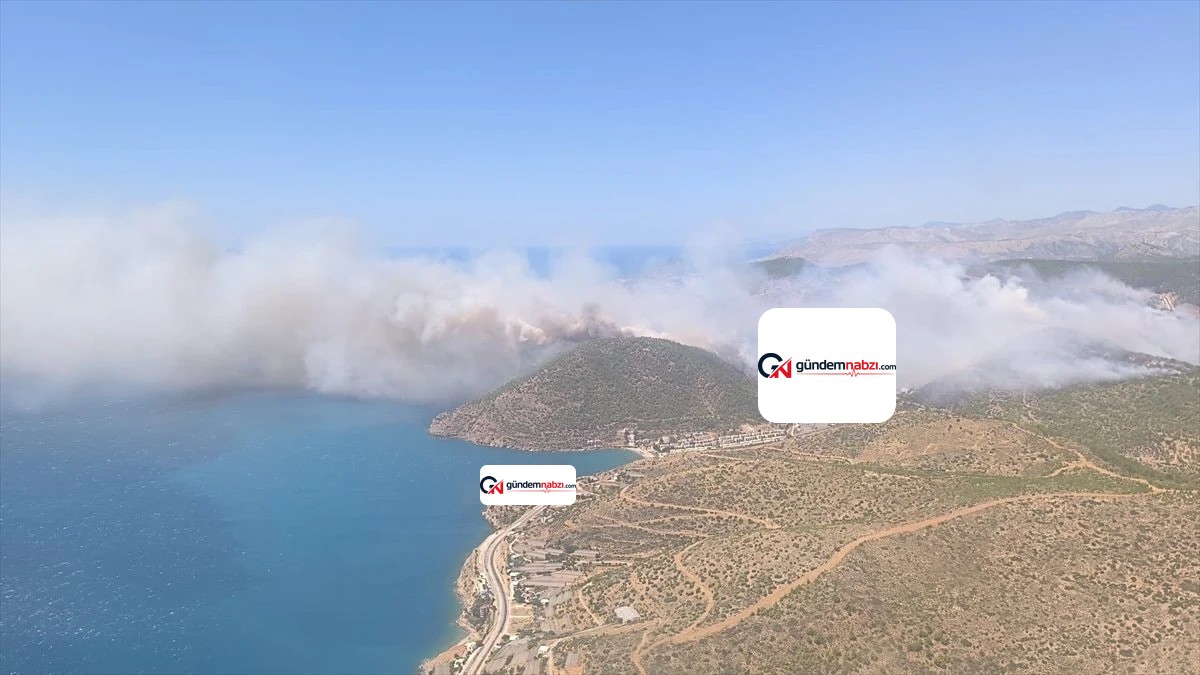 Mersin'de orman yangını kontrol altına alındı