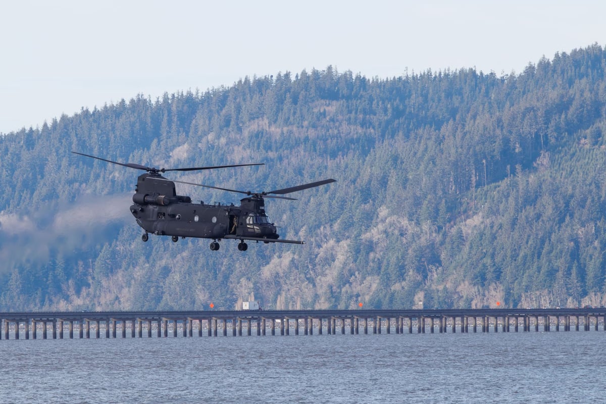 Oregon'da balık habitatı için nehre helikopterle ağaç bırakıldı
