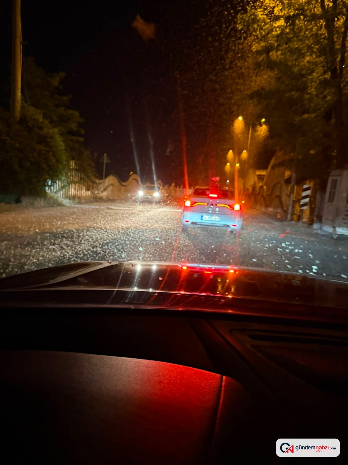 Sakarya'da kelebeklerin ölüm dansı görüntülendi