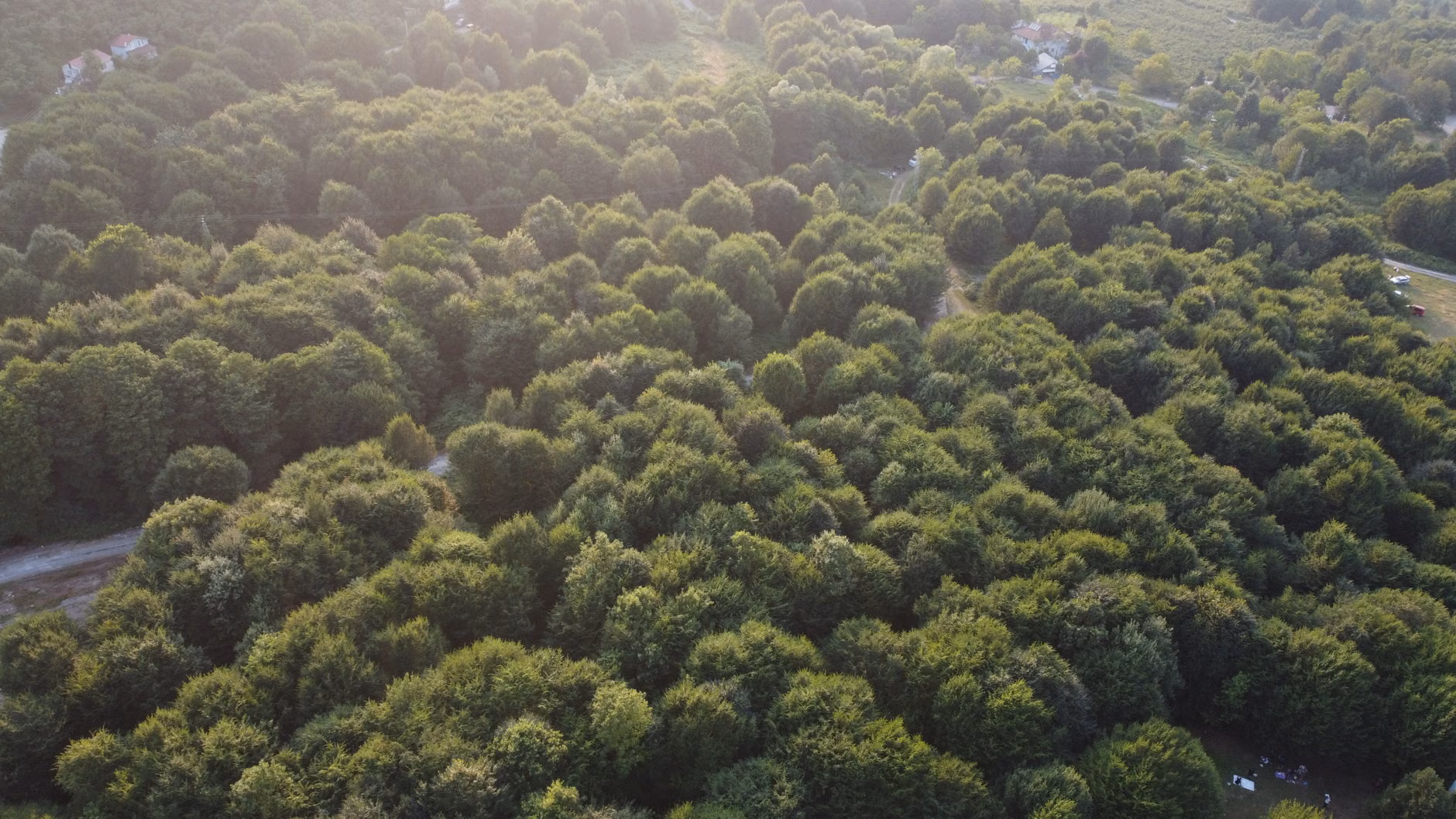 Muğla'da ormanlık alanda ölü bulunan kişi tüfekle vurulmuş