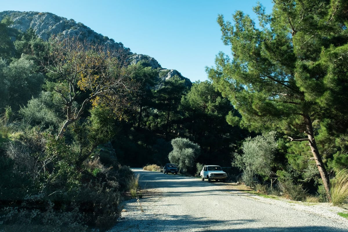 Muğla'da ormana sigara atan sürücü yakalandı