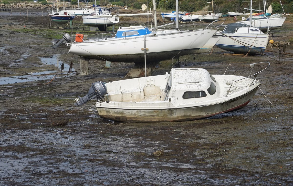 Pasifik'te direği kırılan yelkenci 30 gün sonra kurtarıldı
