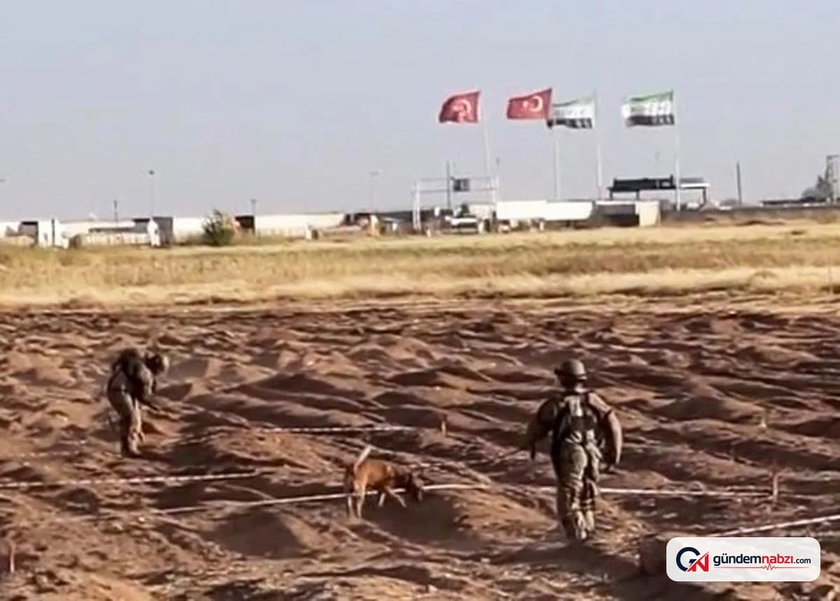 Kilis'te Öncüpınar sınır hattı'nda mayın temizleme çalışmaları sürüyor
