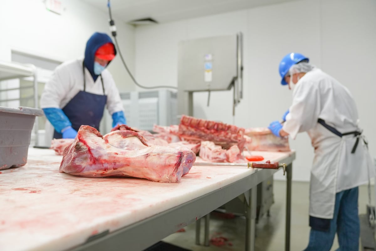 Şanlıurfa'da 187 kilogram bozuk et imha edildi