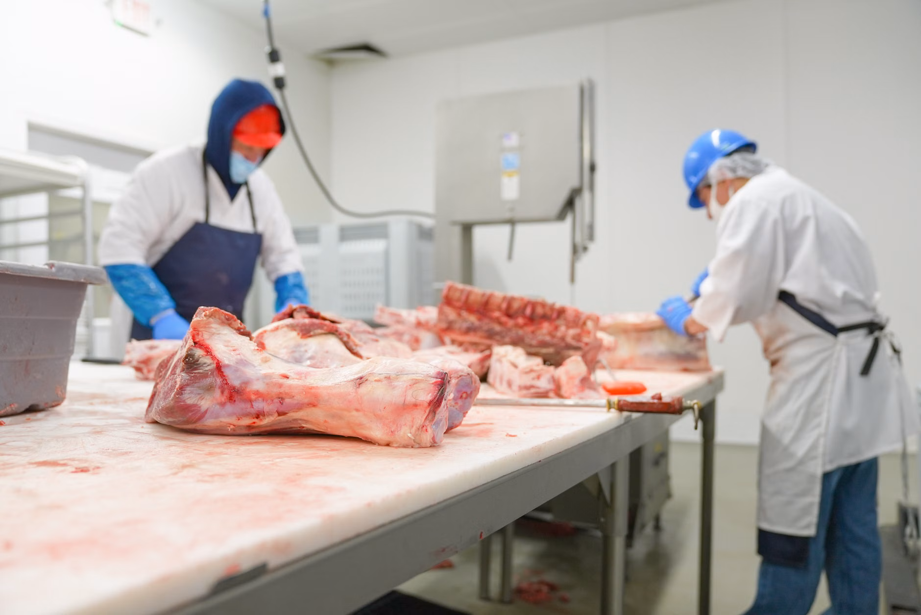 Şanlıurfa'da 187 kilogram bozuk et imha edildi