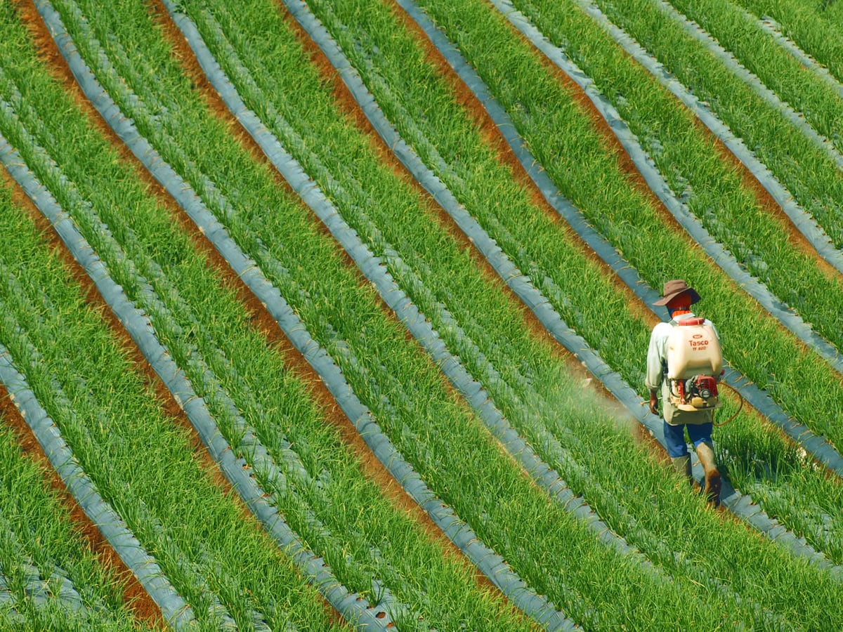 Syngenta paraquat'ı Avustralya'da satıştan çekiyor