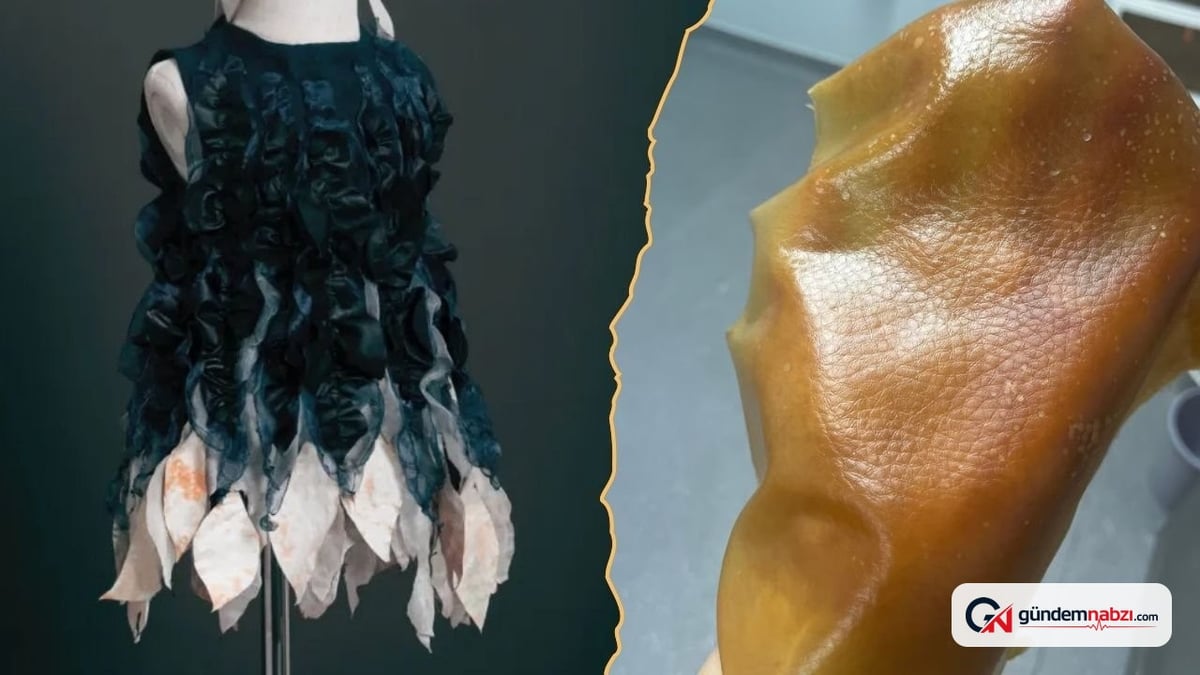 Mantardan üretilen canlı kumaş kendini onarıp temizliyor