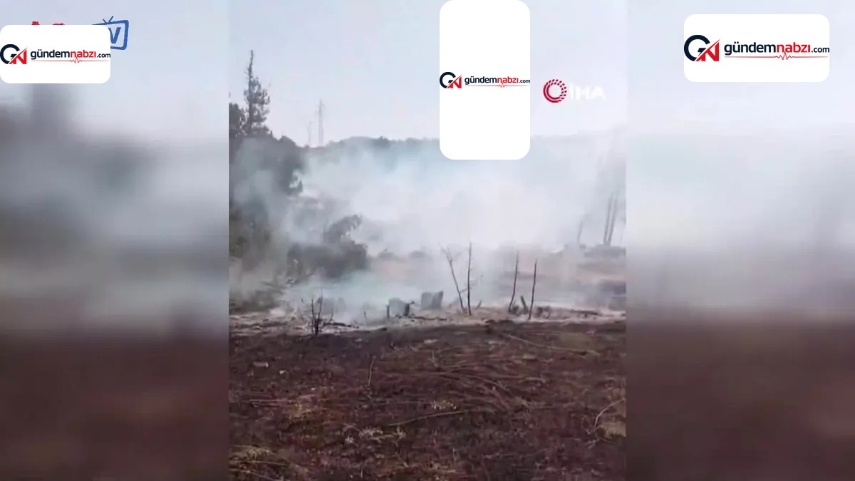 Kütahya'da orman yangını: Ekipler havadan ve karadan müdahale ediyor