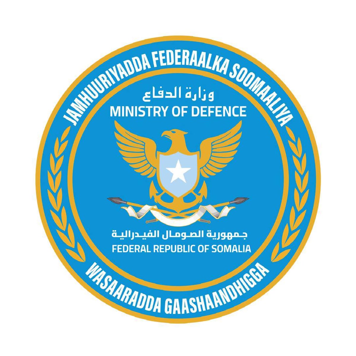 Somali'deki Eş-Şebab operasyonunda 11 elebaşı öldürüldü