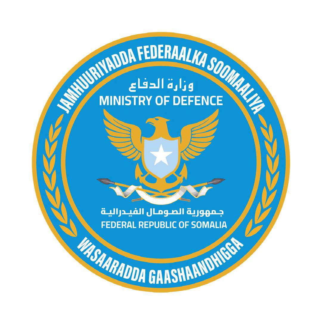 Somali'deki Eş-Şebab operasyonunda 11 elebaşı öldürüldü