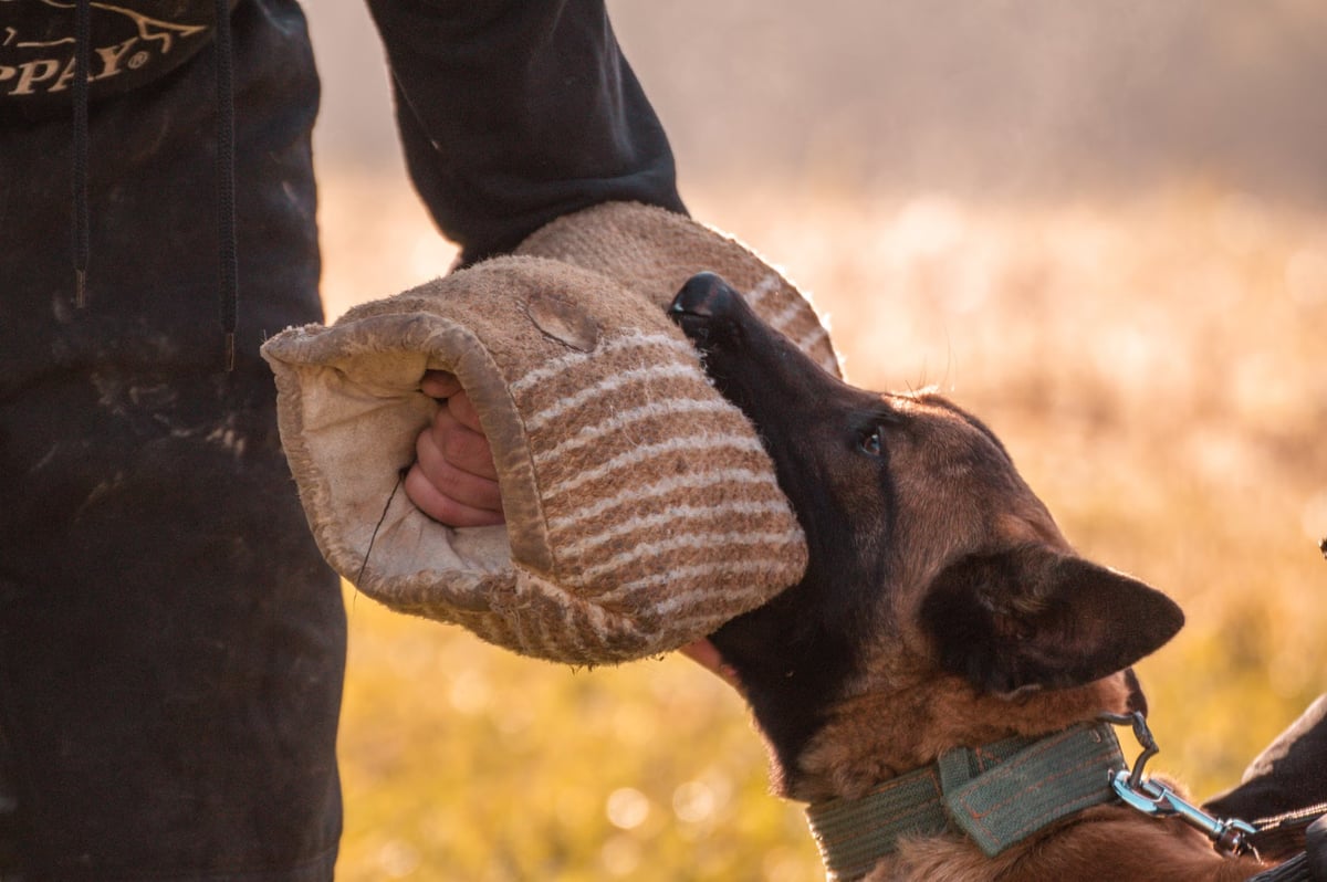 Karaman'da köpeğin saldırdığı çocuk ağır yaralandı