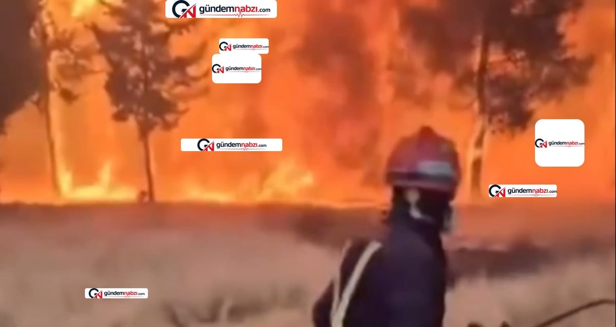 Akdeniz havzasında orman yangınları: Komşu ülkede can kayıpları var