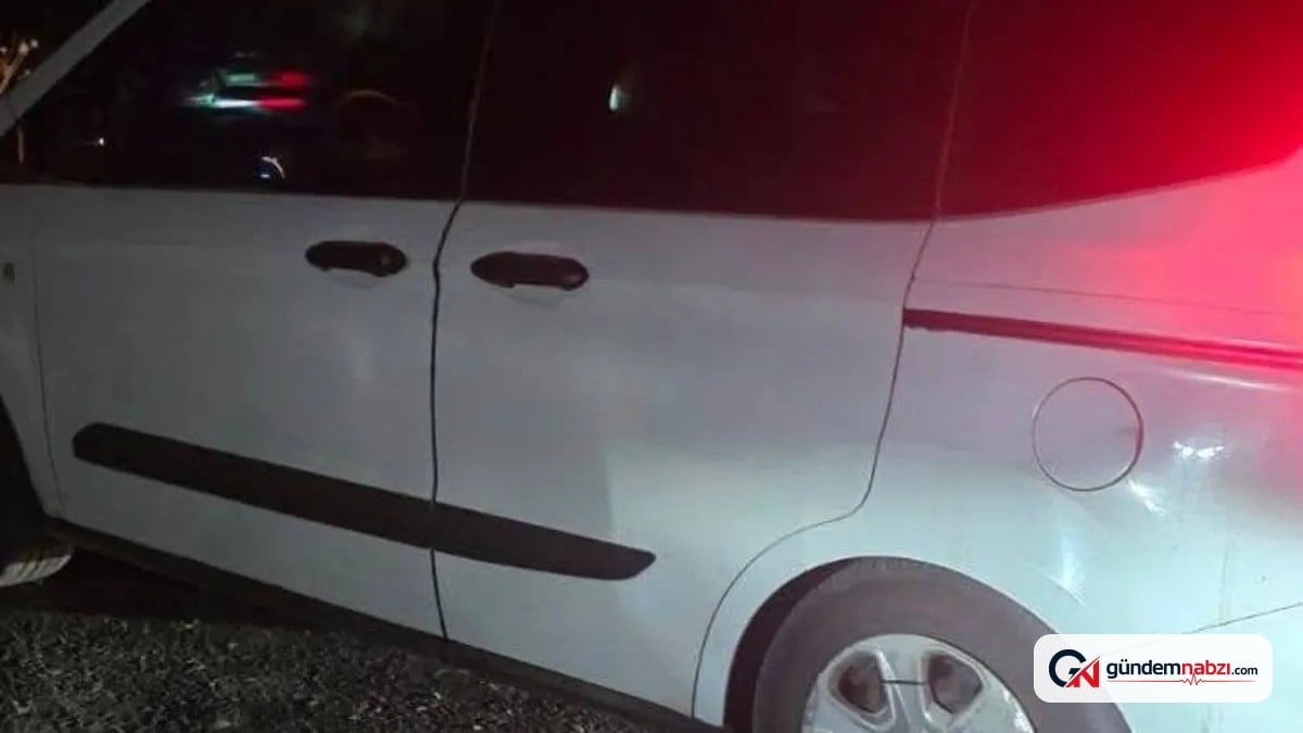 Şanlıurfa'da otomobil koyun sürüsüne çarptı: 20 hayvan telef oldu