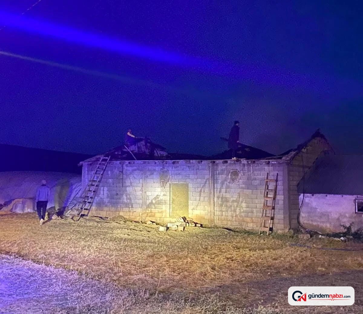 Muş'un Korkut ilçesinde ahır yangını