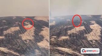 Balıkesir Edremit'teki yangına müdahale sürüyor