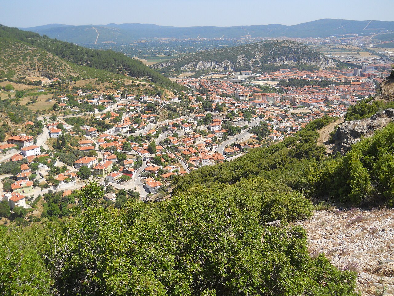 Muğla'daki orman yangınlarında 5 bin hektardan fazla alan zarar gördü