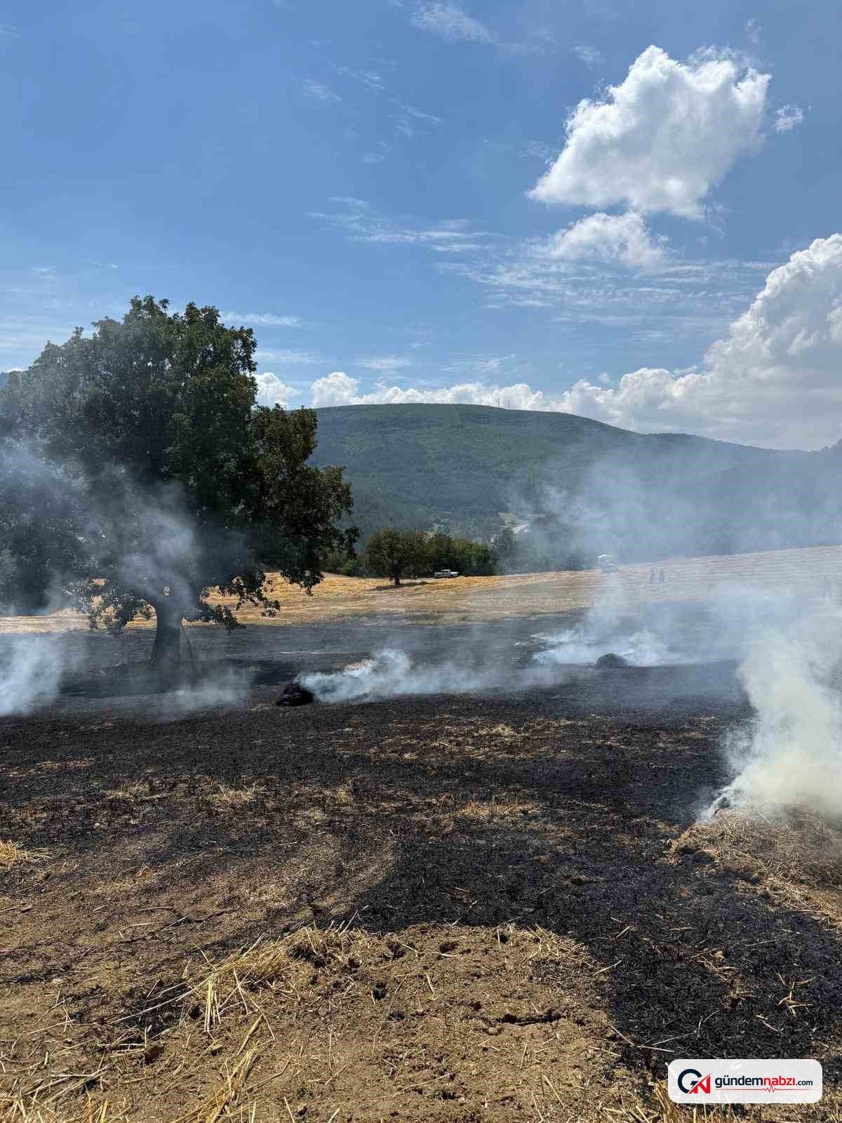 Bolu'da balya makinesinden kıvılcımlar yangına neden oldu