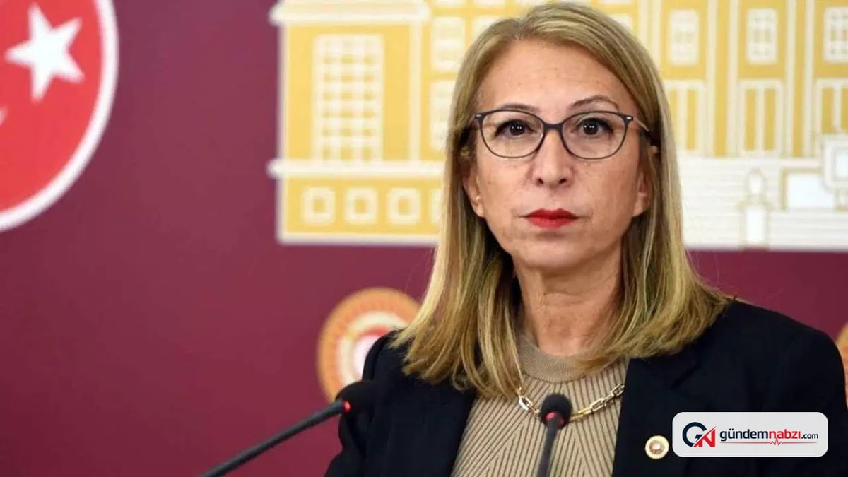 Yeni Parti Milletvekili Süreyya Öneş Derici, çerçeve yasaya 'hayır' oyu verecek