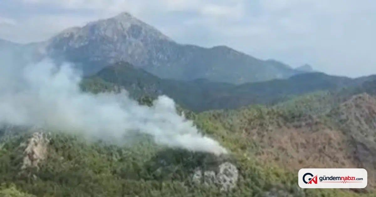 Antalya ve Balıkesir'de orman yangını çıktı