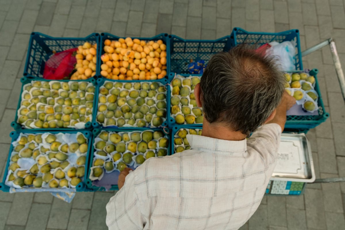 Mersin'in Mut ilçesinde incir hasadı başladı: 90 bin ton rekolte bekleniyor