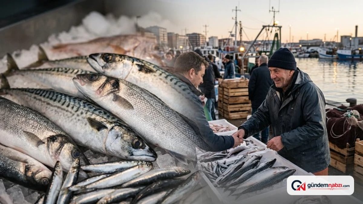 Sinop ve Zonguldak'ta palamut fiyatı 60 liraya düştü