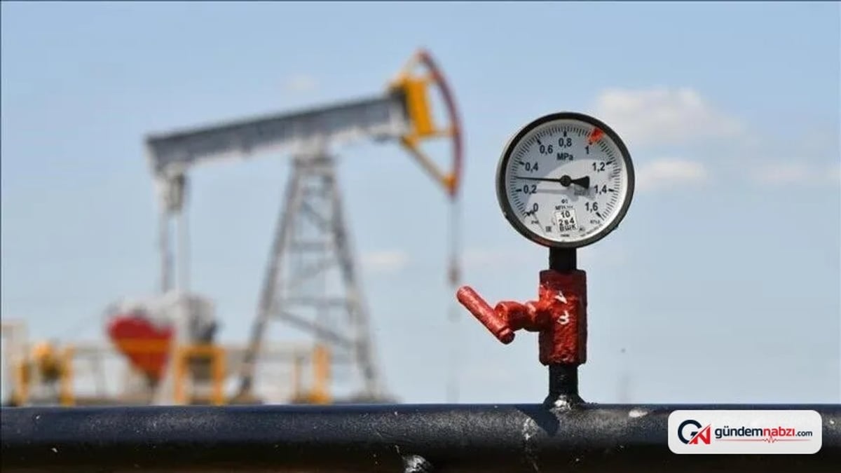 Türkiye'nin enerji güvenliği dönüşümü ve öncelikleri