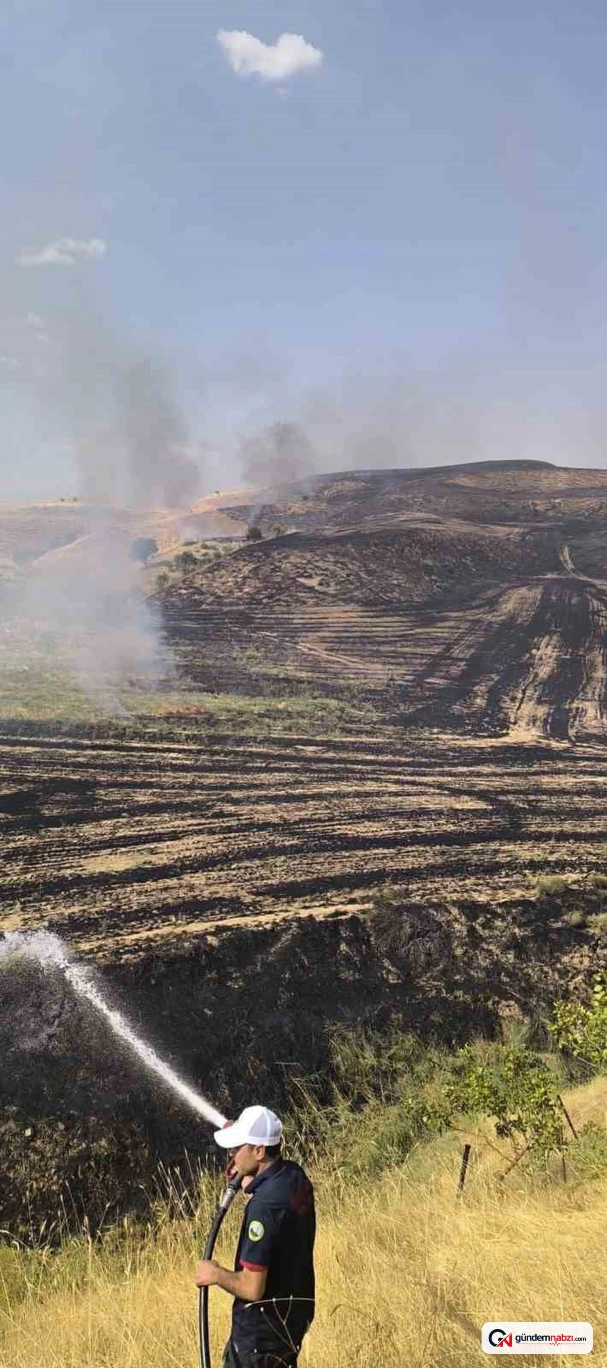 Siirt'te anız yangını meyve bahçesine sıçradı, 100 ağaç zarar gördü