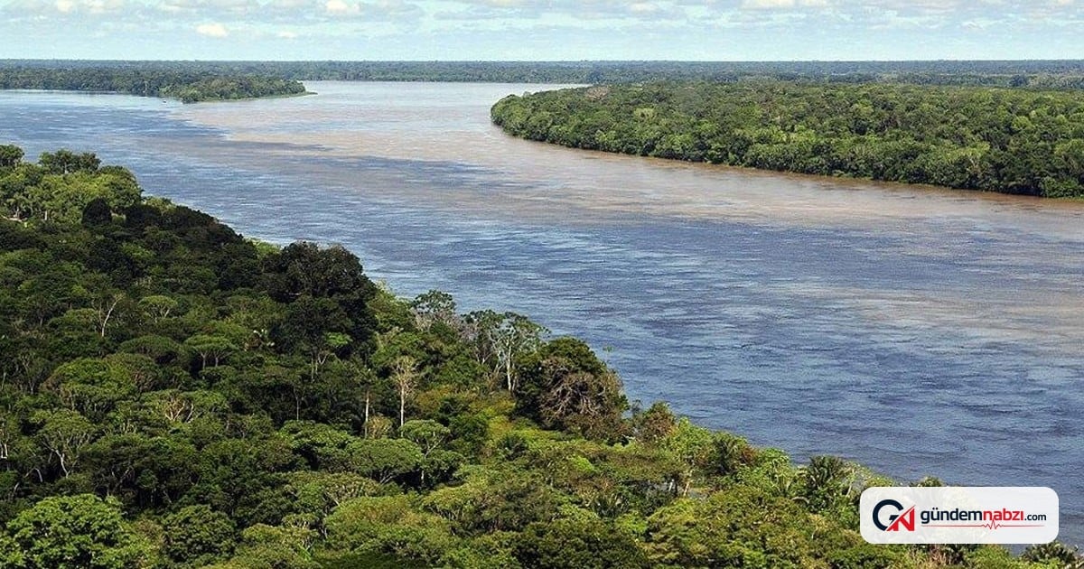 Amazon Nehri'nde köprü yok: Yetersiz karayolu ve doğal engeller
