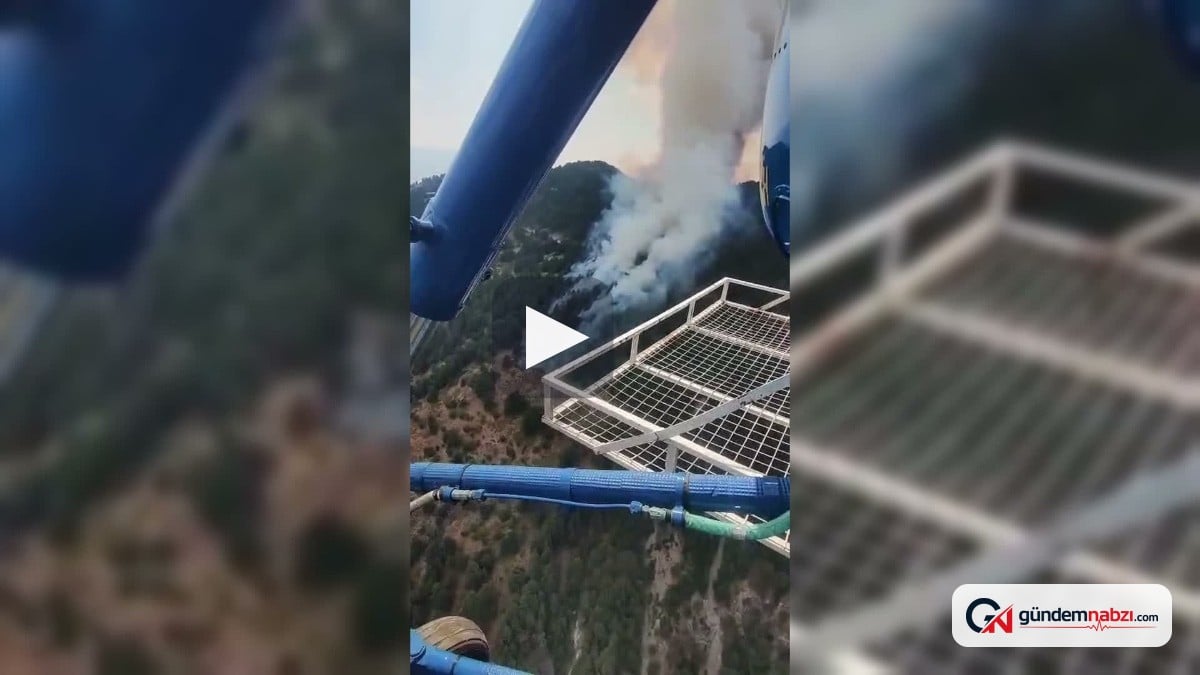 Aydın'da orman yangını çıktı: Havadan ve karadan müdahale sürüyor