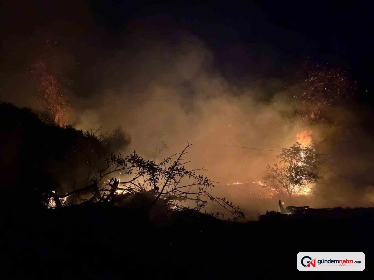 İzmir Ödemiş'te orman yangını kontrol altına alındı