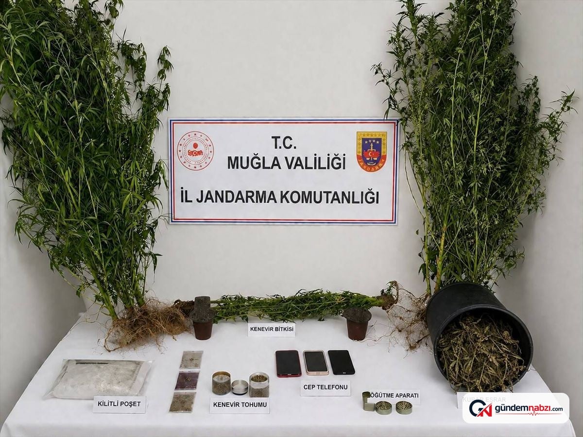 Muğla'da uyuşturucu operasyonunda 33 kişi tutuklandı