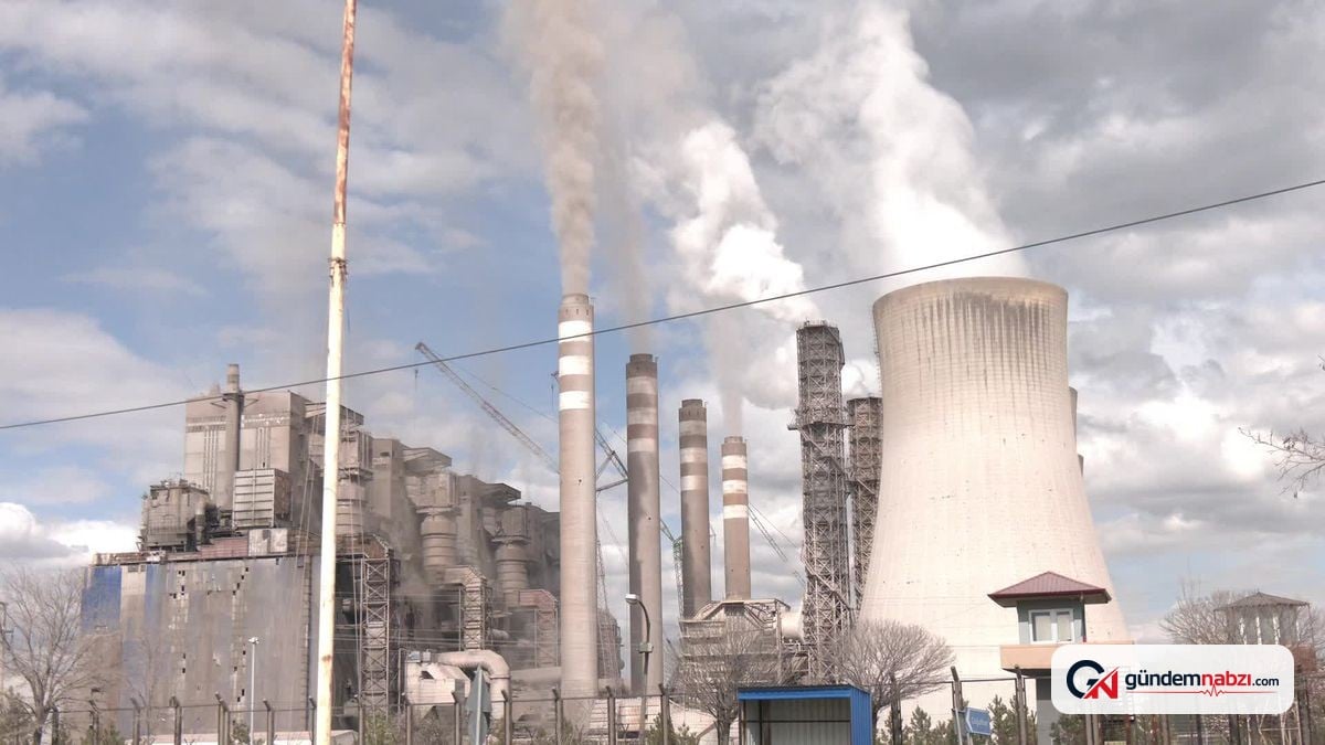 Afşin-Elbistan Termik Santrali'nde ÇED iptali Danıştay'a taşındı