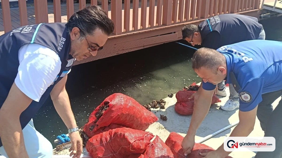 İzmir'de yasa dışı avlanan 560 kilo kara midyeye el konuldu