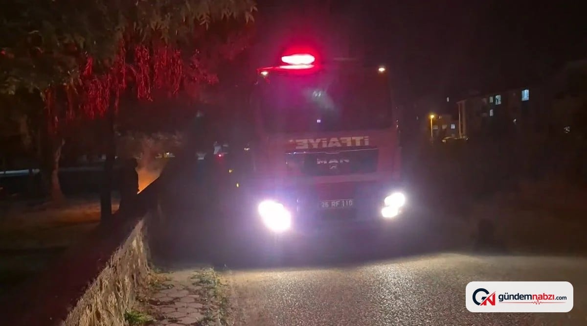 Eskişehir'de parkta kasten çıkarılan yangın ormanı tehdit etti