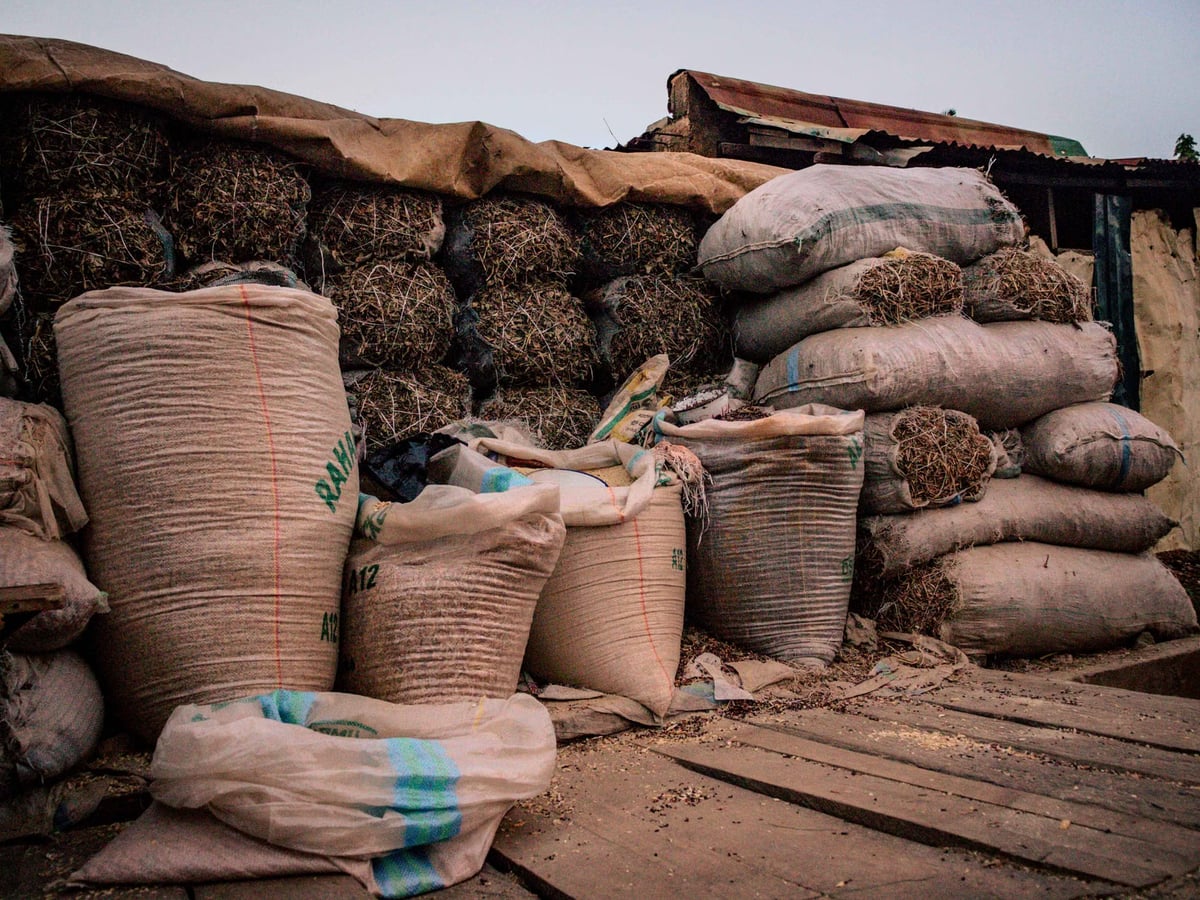Balıkesir'de 6,6 ton kaçak çay ele geçirildi
