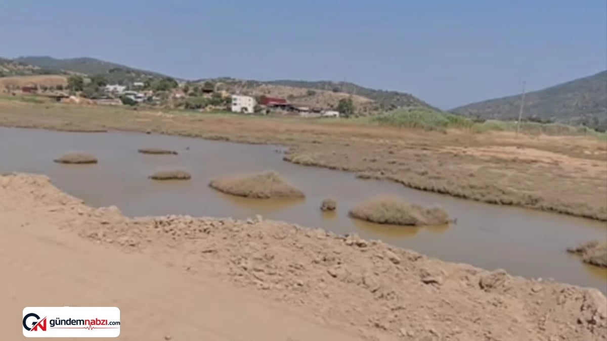 Muğla'daki Kuş Cenneti inşaat hafriyatıyla tehdit altında