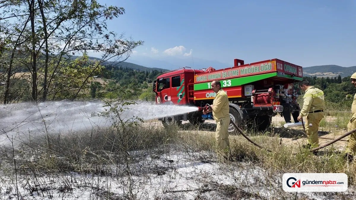 Bursa Kestel'deki Orman yangını havadan ve karadan müdahaleyle söndürüldü