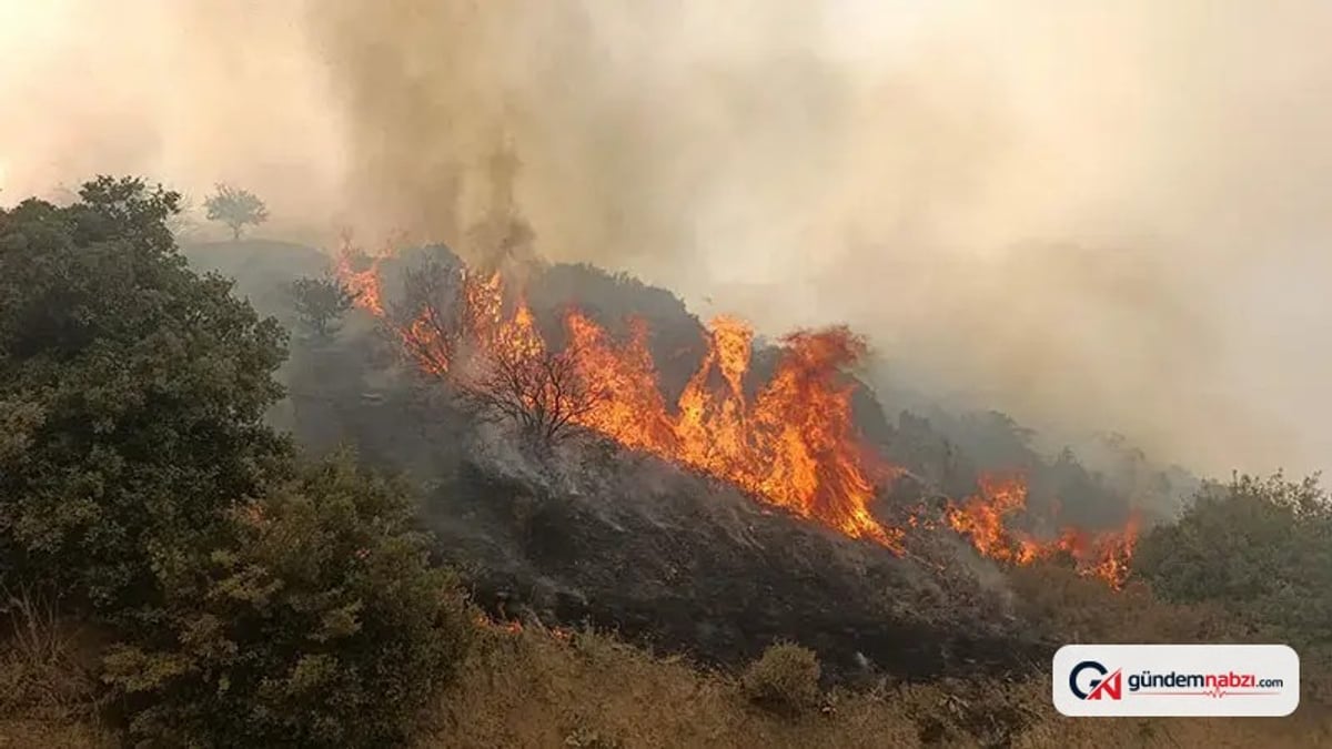 Manisa Turgutlu'da makilik alanda yangın çıktı