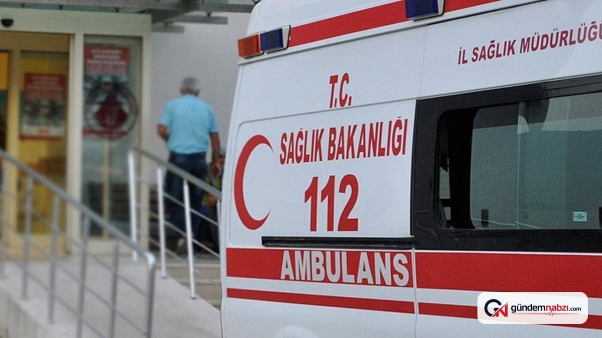 Zonguldak'ta avda kuzenini vurdu