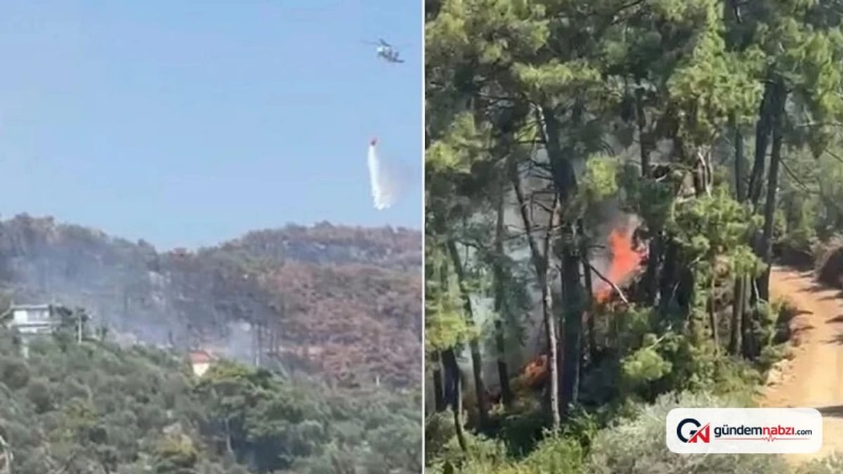 Muğla Fethiye'deki orman yangını kısa sürede söndürüldü