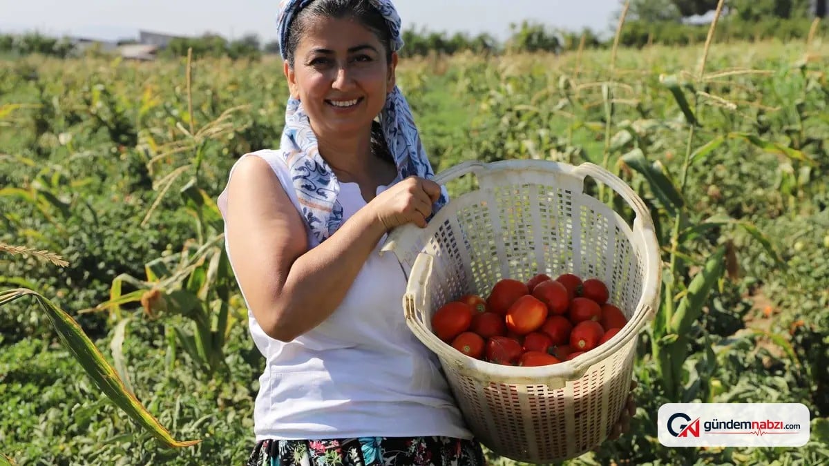 Eczacılık yapan Yeliz Dermancı, çiftçilikle de uğraşıyor