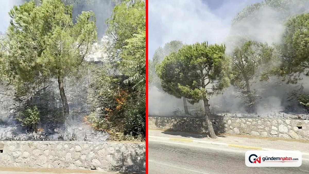 Balıkesir'de Orman yangını çıktı, ekipler yangına müdahale etti