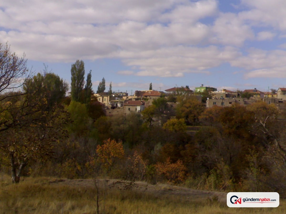 Kayseri'de aspir yağı üretimi için yeni projeler hayata geçirildi
