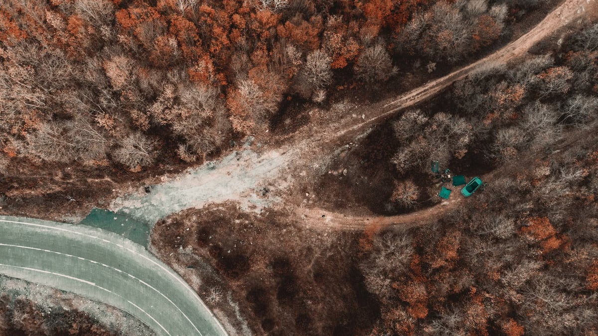 İstanbul'da ormana kenevir eken şüpheli dron devriyesinde yakalandı