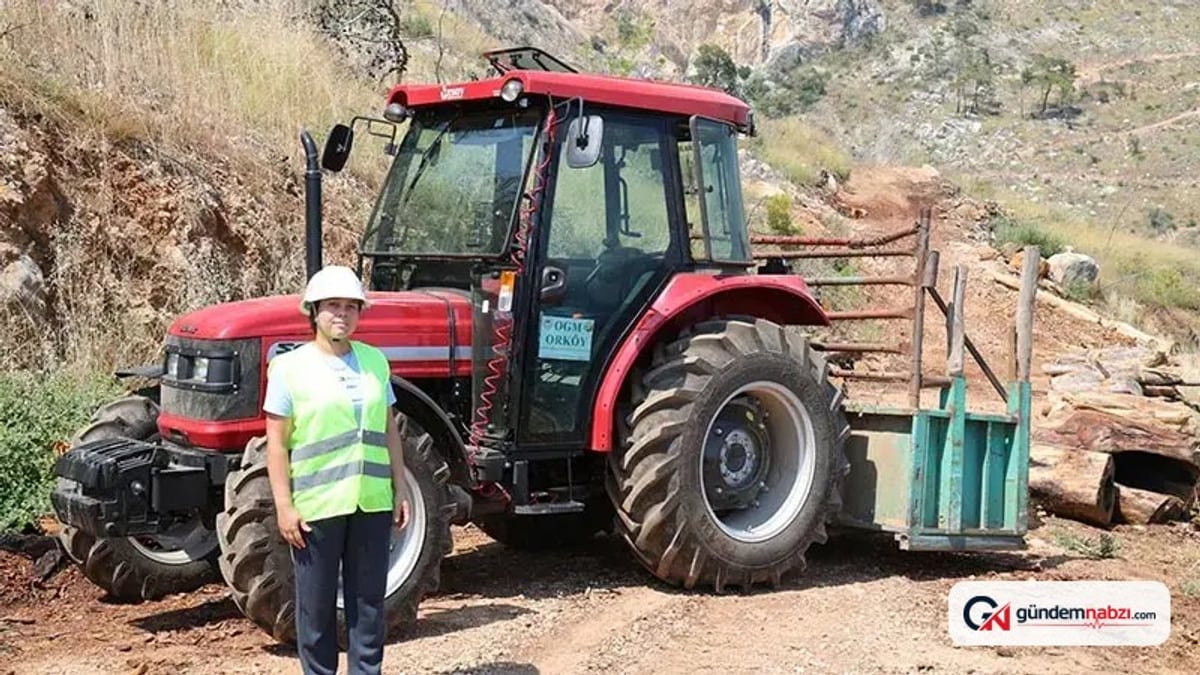 Sibel, ORKÖY kredisiyle aldığı traktörle odun taşıyor