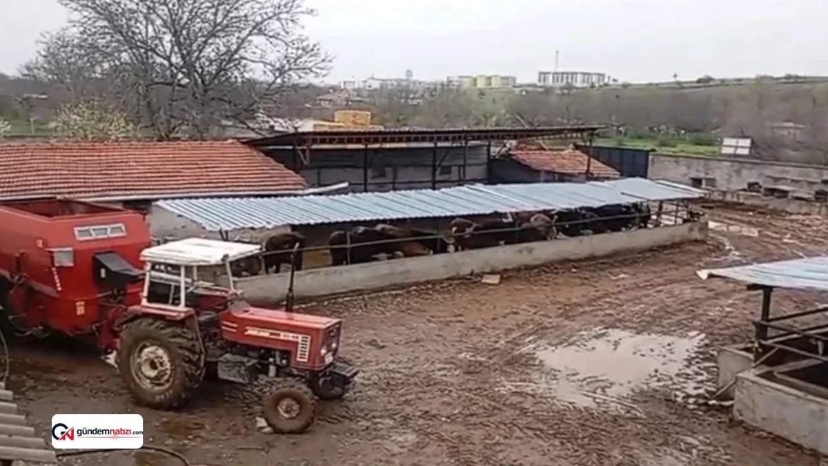 Kırşehir'de komşusunun çaldığı hayvanları iki gün birlikte aradı