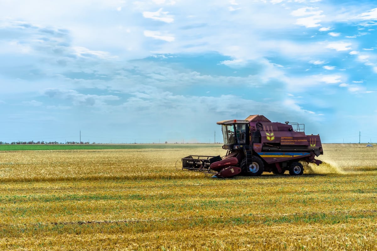 Ukrayna'nın tarım ihracatı, Ağustos'un başında %60 azaldı