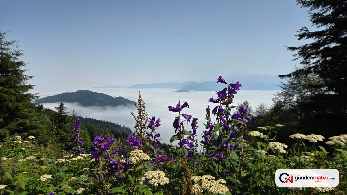 Artvin'in yüksek kesimlerinde sis bulutu dronla görüntülendi