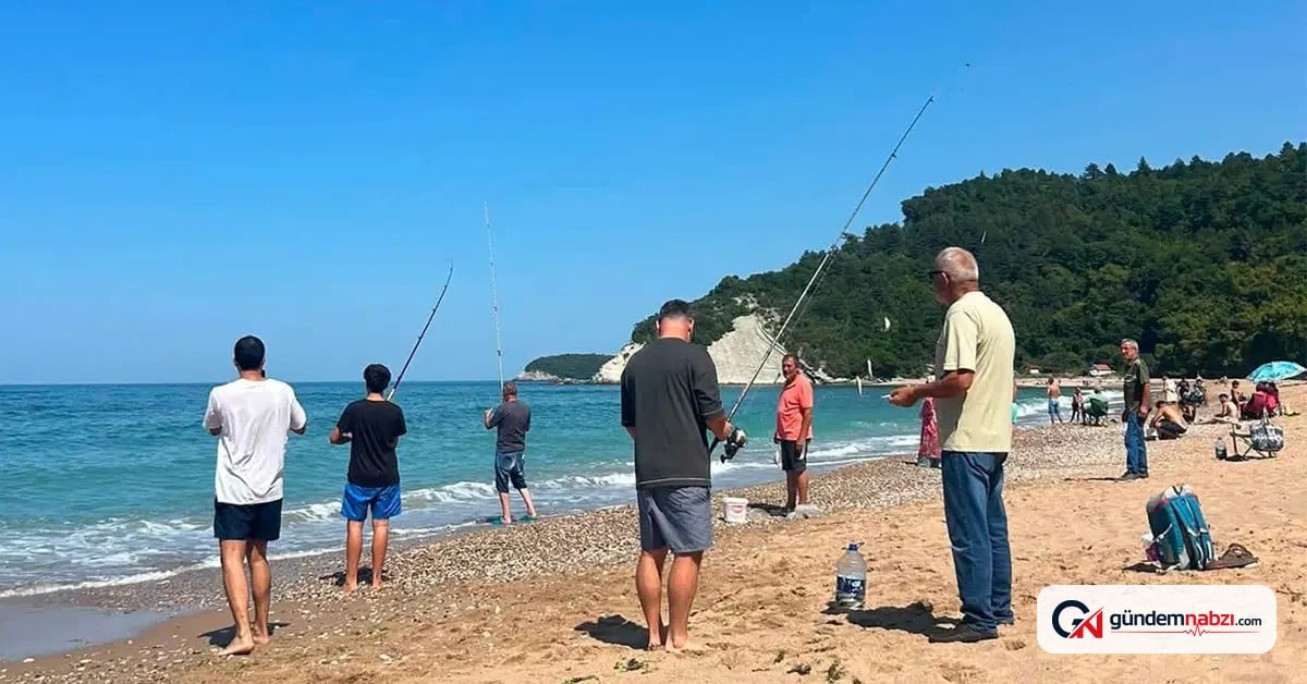 Bartın'da deniz suyu sıcaklığı düştü, oltalar doldu